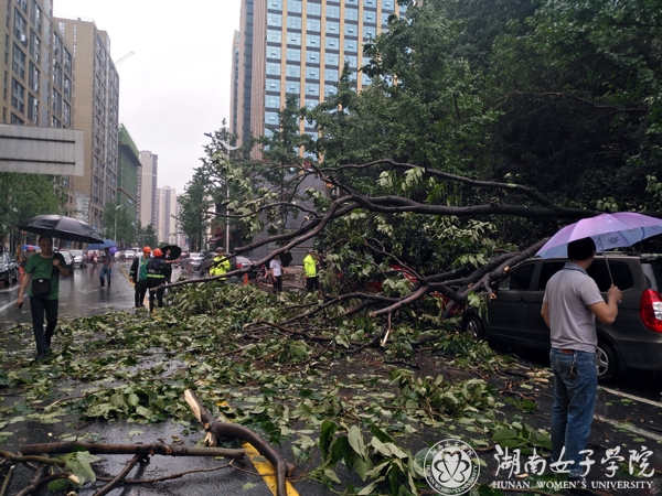 1498997087781091415.jpg 南院暴雨滑坡111.jpg
