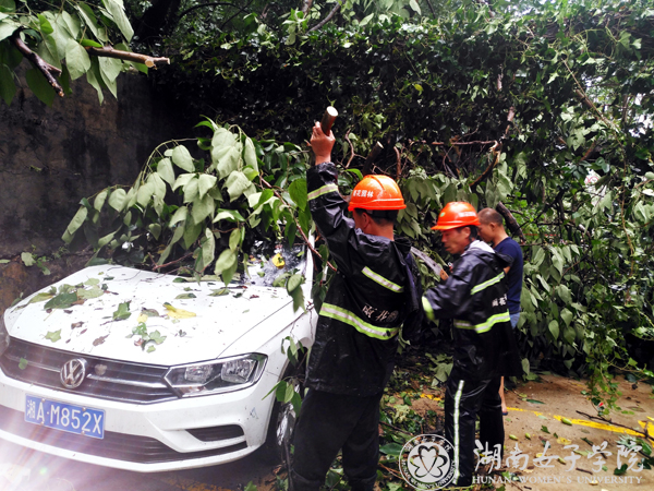 1498997098888027854.jpg 南院暴雨滑坡2 22.jpg